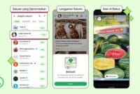 WhatsApp Tampilkan Iklan di Status, Simak Cara Kerja dan Fitur Barunya