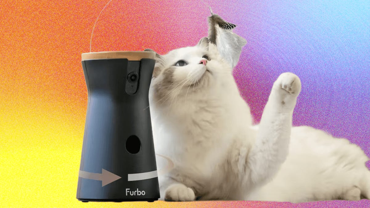 8 Kamera Hewan Peliharaan Terbaik 2025: Review & Fitur Canggih