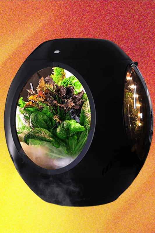 Ulasan Plantaform Smart Indoor Garden: Inovatif, Menarik, Namun Berisiko